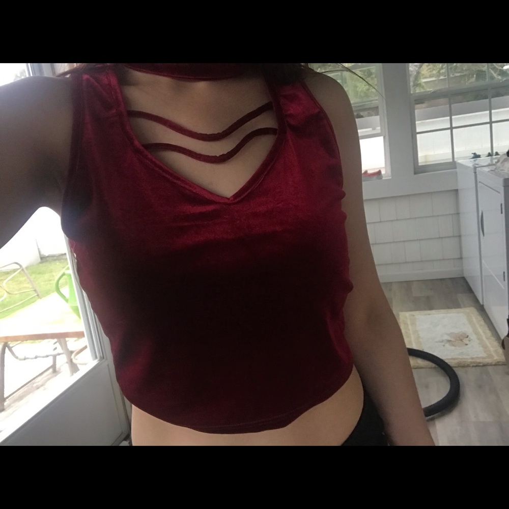 Red velvet crop top